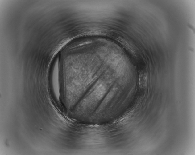 X0000098000436200804141211