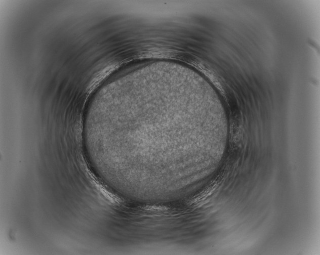X0000098000437200804141211