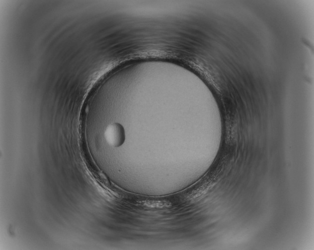 X0000098000439200804141211
