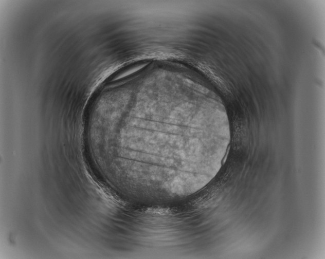 X0000098000440200804141211