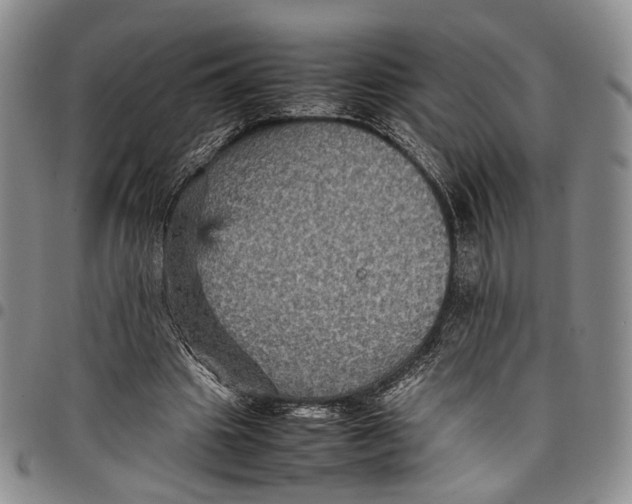 X0000098000441200804141211