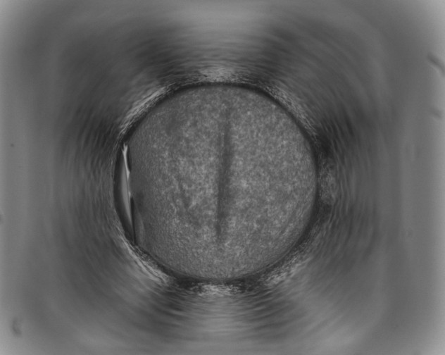 X0000098000442200804141211