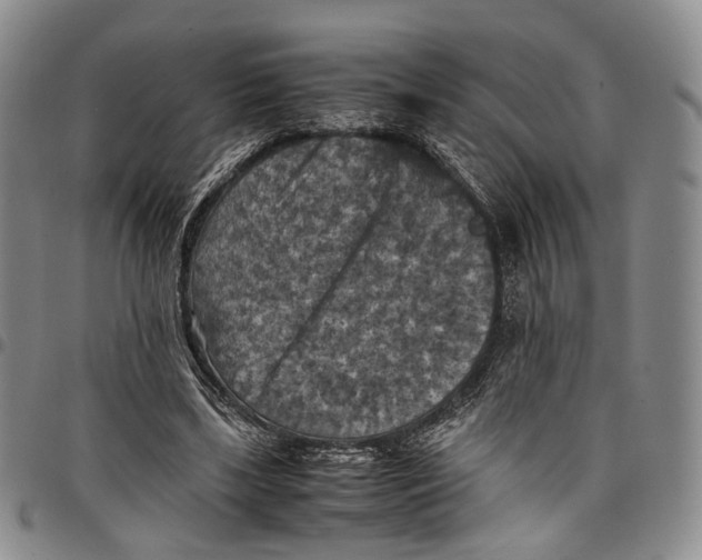 X0000098000443200804141211