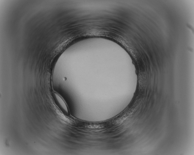 X0000098000445200804141211