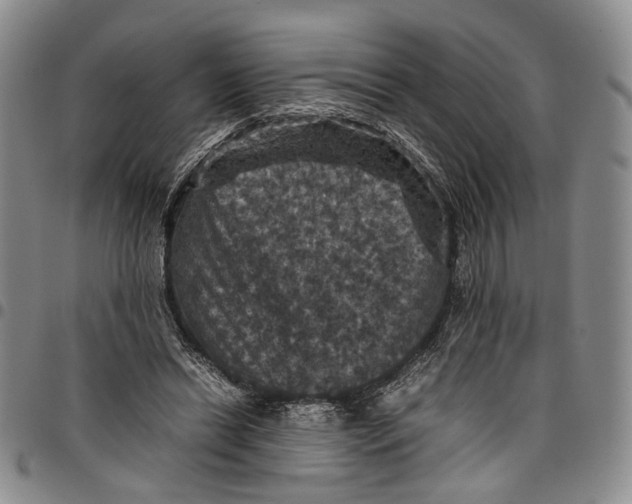X0000098000446200804141211