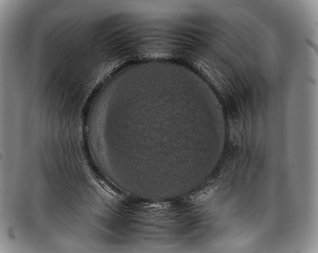 X0000098000447200804141211