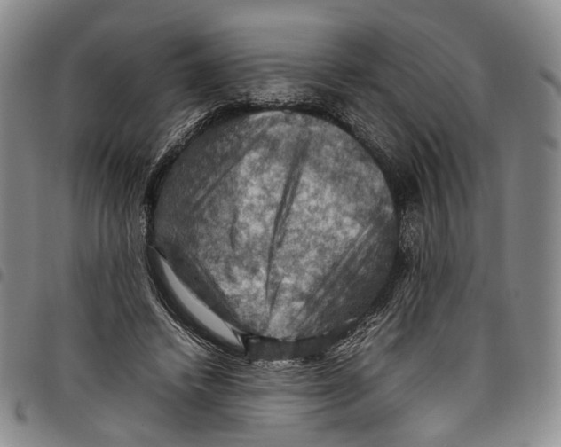 X0000098000448200804141211
