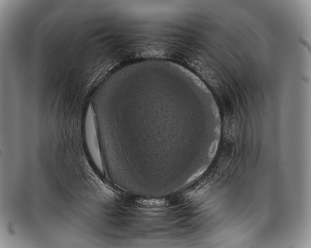 X0000098000449200804141211