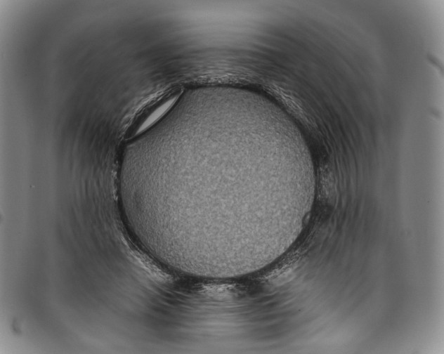 X0000098000450200804141211
