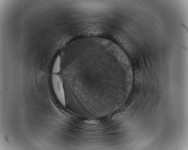 X0000098000451200804141211