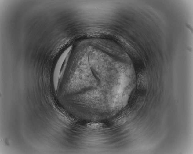 X0000098000452200804141211
