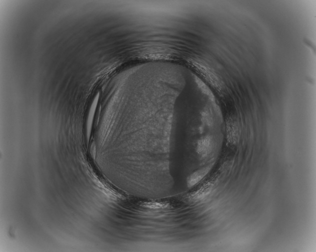 X0000098000453200804141211