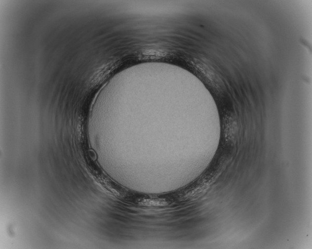 X0000098000455200804141211