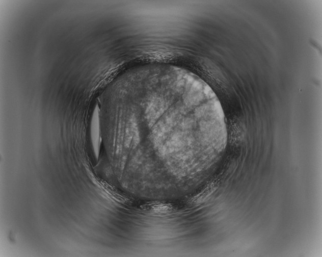 X0000098000456200804141211