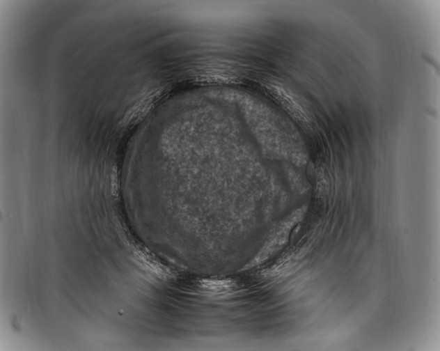 X0000098000457200804141211