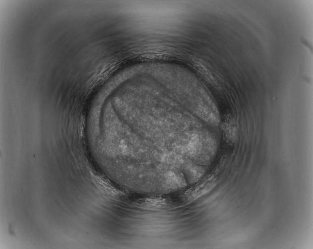 X0000098000458200804141211