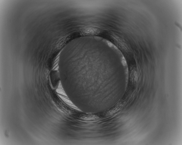 X0000098000459200804141211