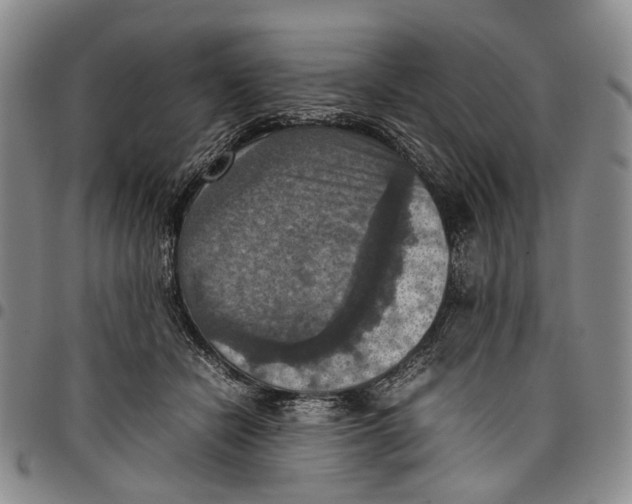 X0000098000462200804141211