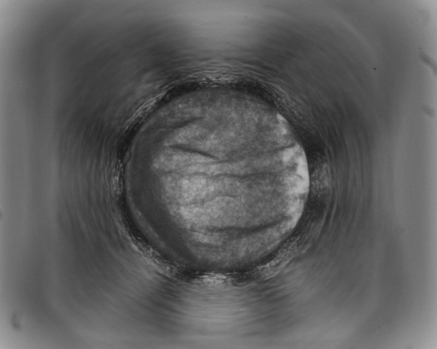X0000098000464200804141211