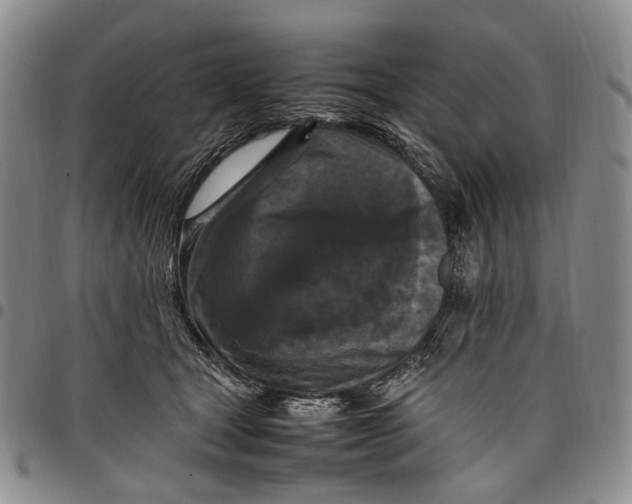 X0000098000465200804141211