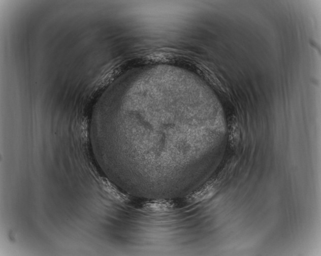 X0000098000466200804141211