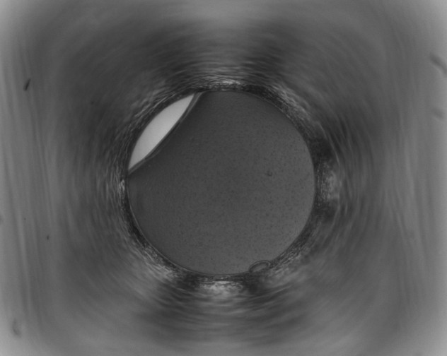 X0000098000467200804141211