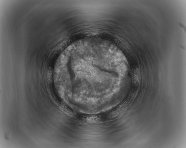 X0000098000468200804141211