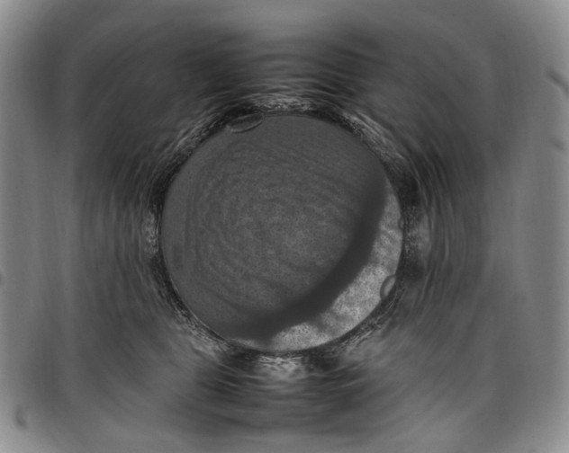 X0000098000469200804141211