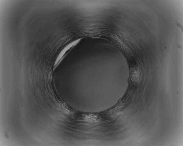X0000098000471200804141211