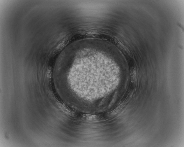 X0000098000472200804141211