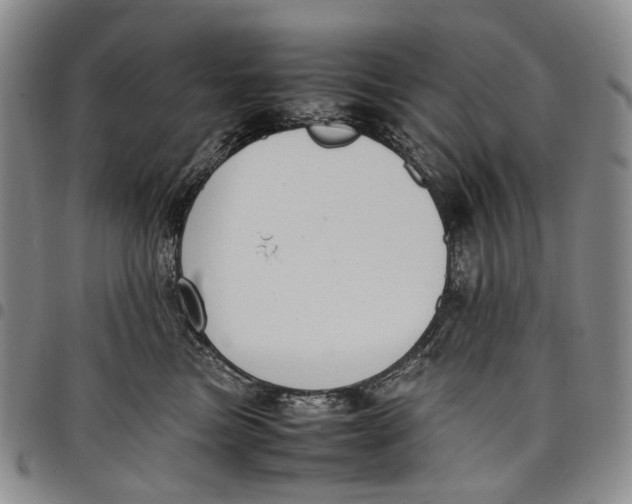 X0000098000473200804141211