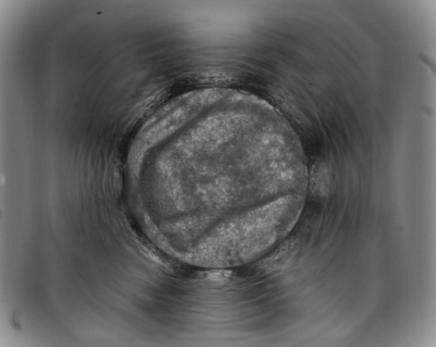 X0000098000474200804141211