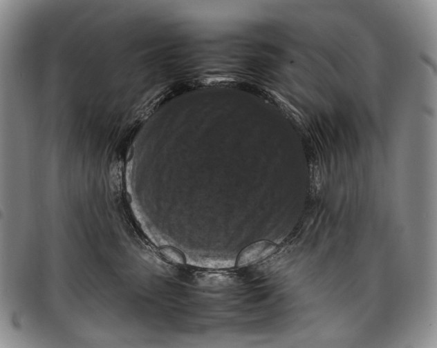 X0000098000475200804141211