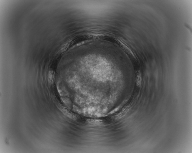 X0000098000476200804141211