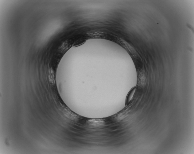 X0000098000477200804141211