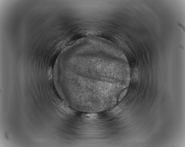 X0000098000478200804141211