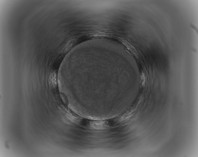 X0000098000479200804141211