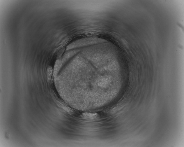 X0000098000480200804141211
