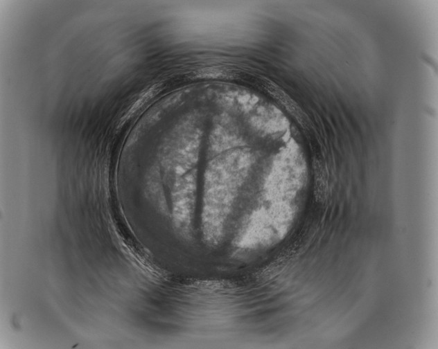 X0000098000482200804141210