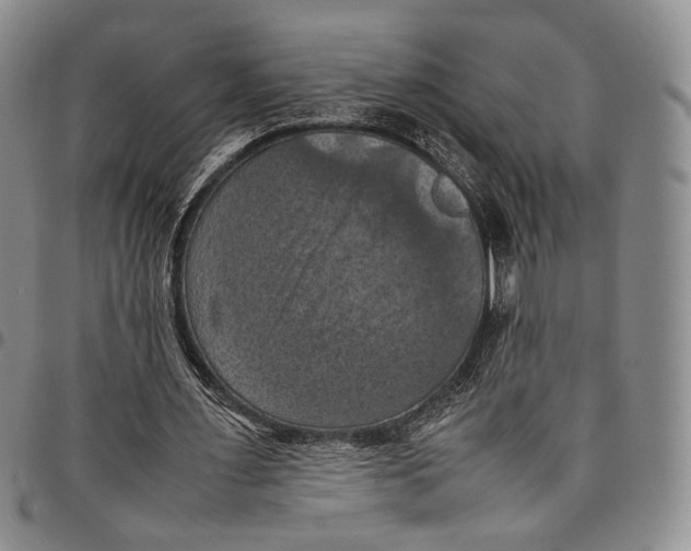 X0000098000483200804141210