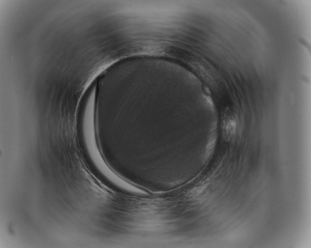 X0000098000484200804141210