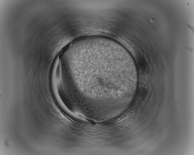 X0000098000485200804141210