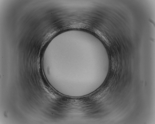 X0000098000486200804141210