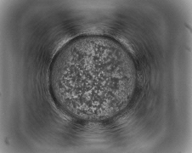 X0000098000487200804141210