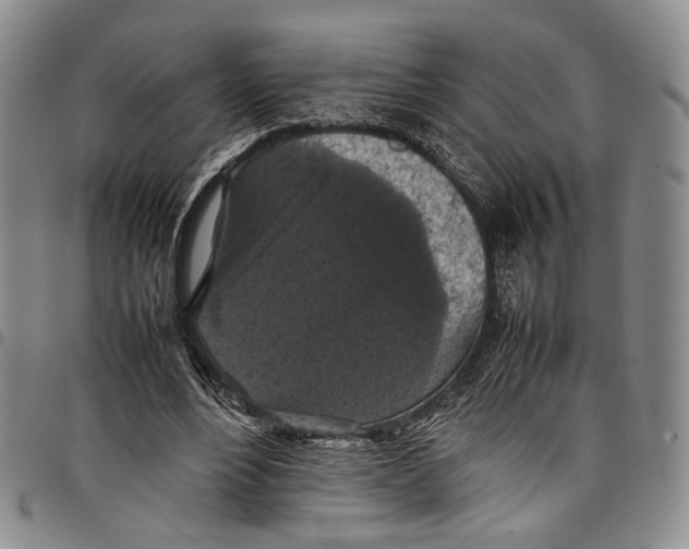 X0000098000488200804141210