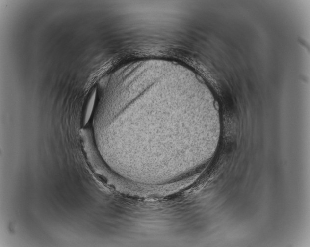X0000098000489200804141210