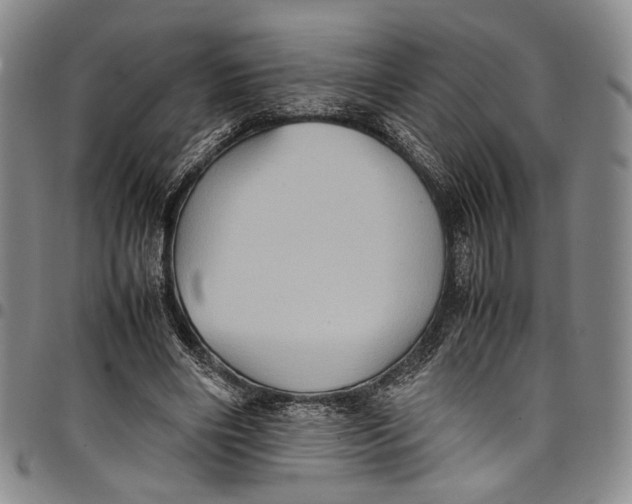 X0000098000490200804141210