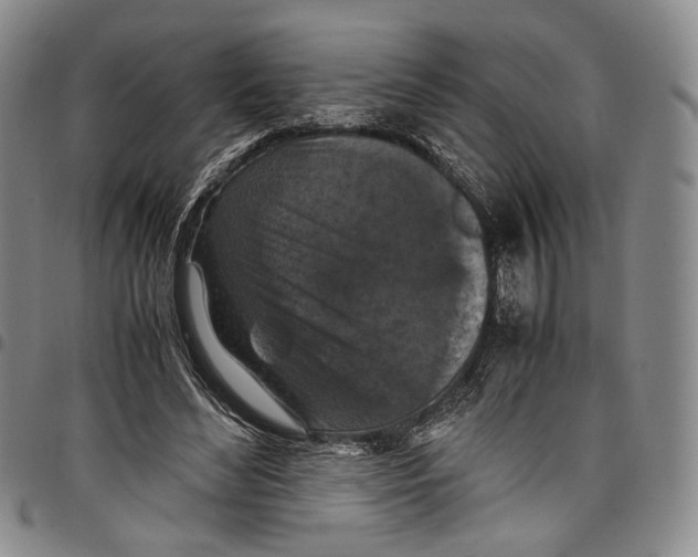 X0000098000492200804141210
