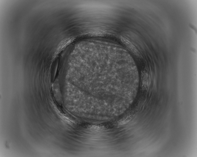X0000098000494200804141210