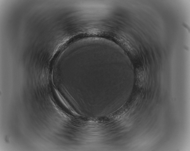 X0000098000496200804141210